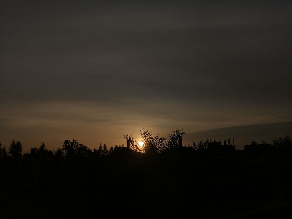 Photograph by Rehab Mohamed Ibrahim