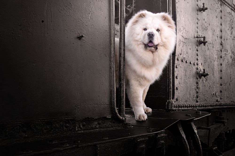 Photograph by Leticia Hernandez