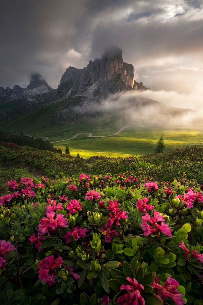Summer morning in the Dolomites