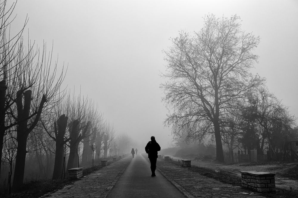 Walk in the fog