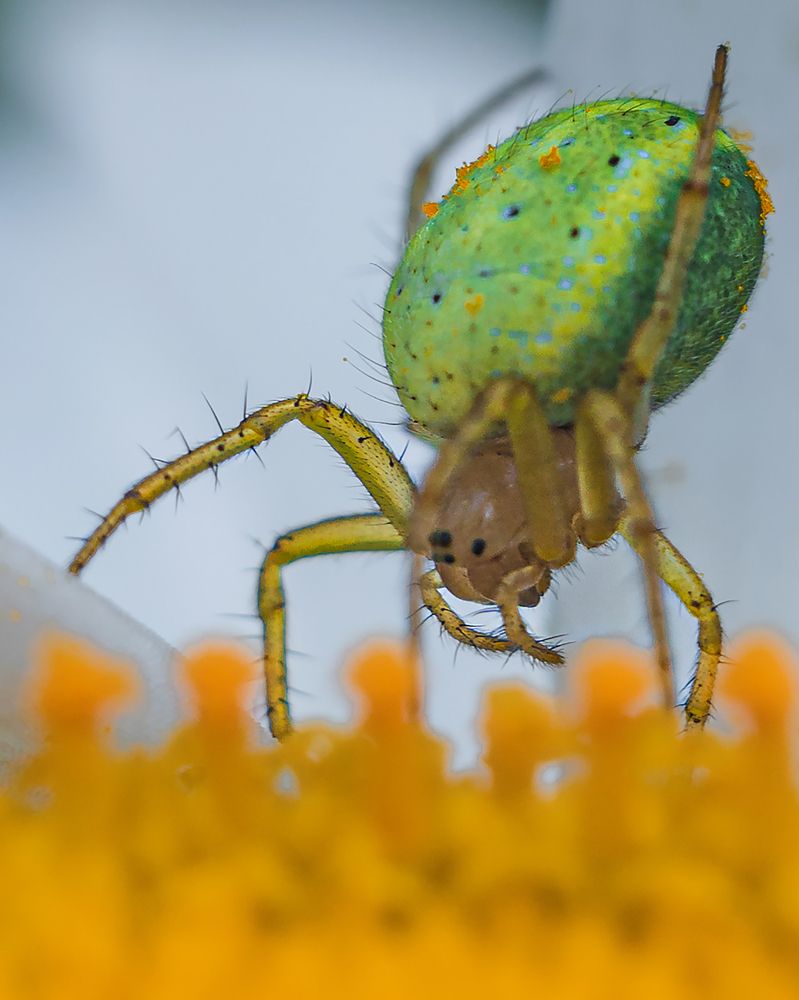 Photograph by Евгений Гонтов