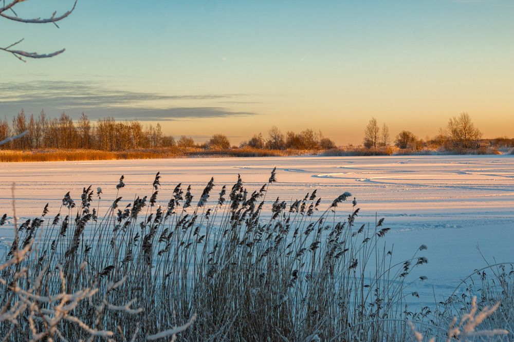 Photograph by Елена Павлова