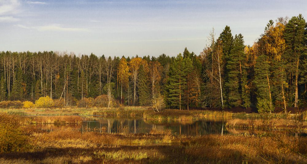 Photograph by Алена Ерошкина