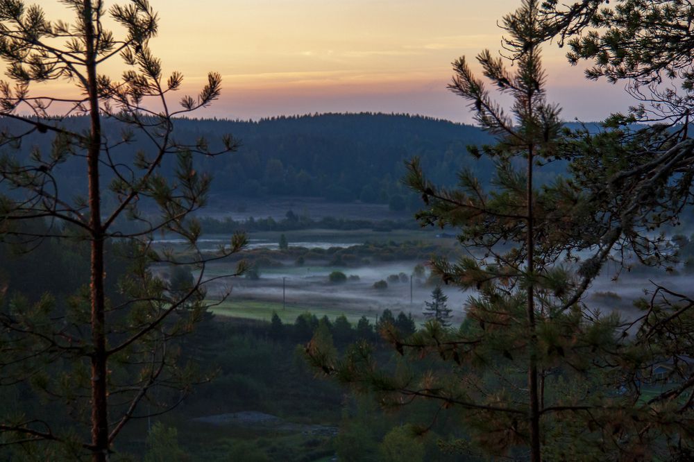 Photograph by Людмила Воробьева