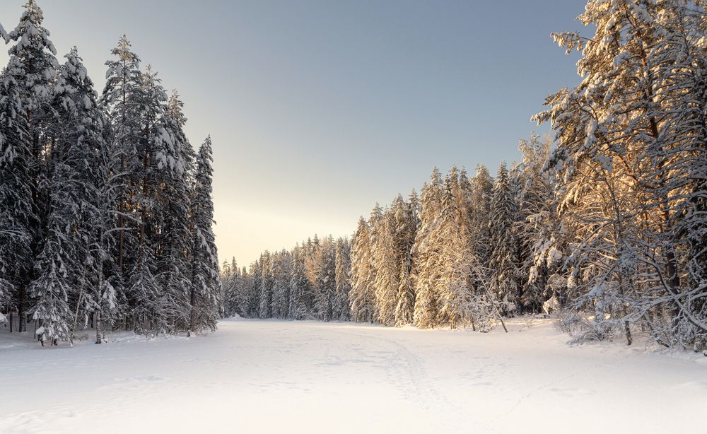 Photograph by Алена Ерошкина