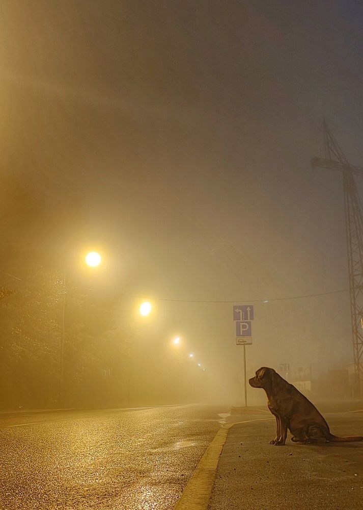 Photograph by Лилия Арапова