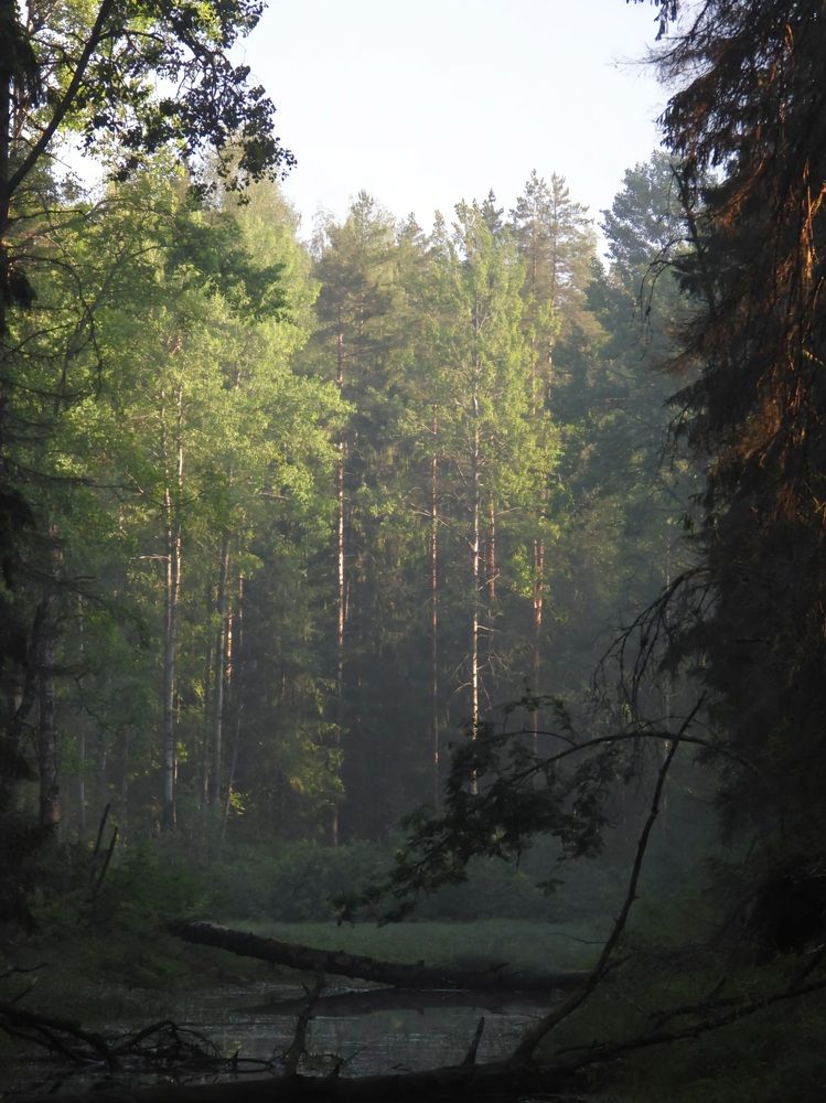 Photograph by Александр Шаварин