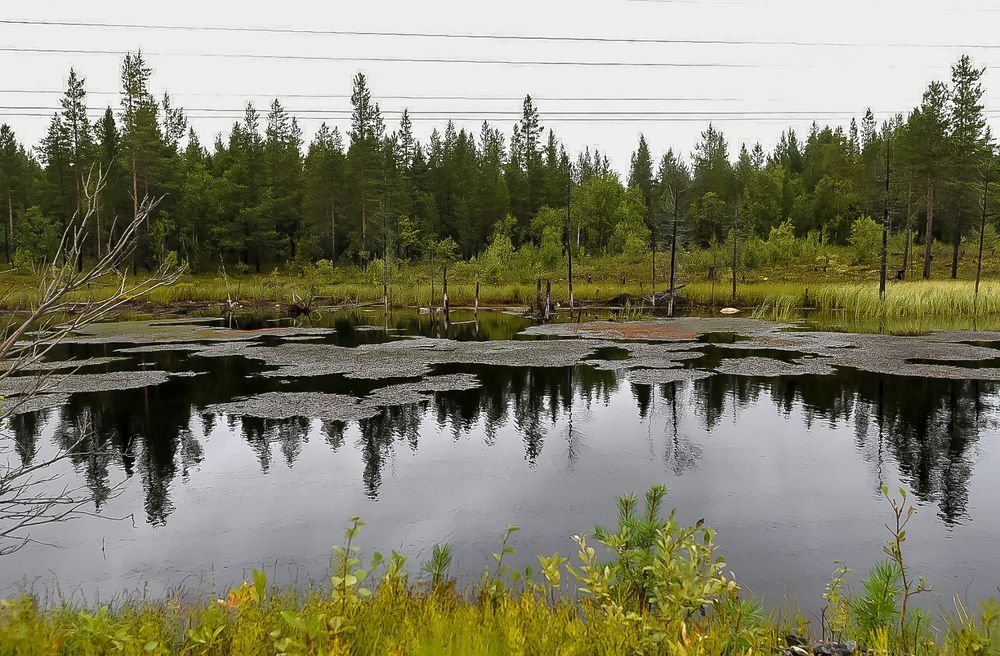 Photograph by Наталия Березина