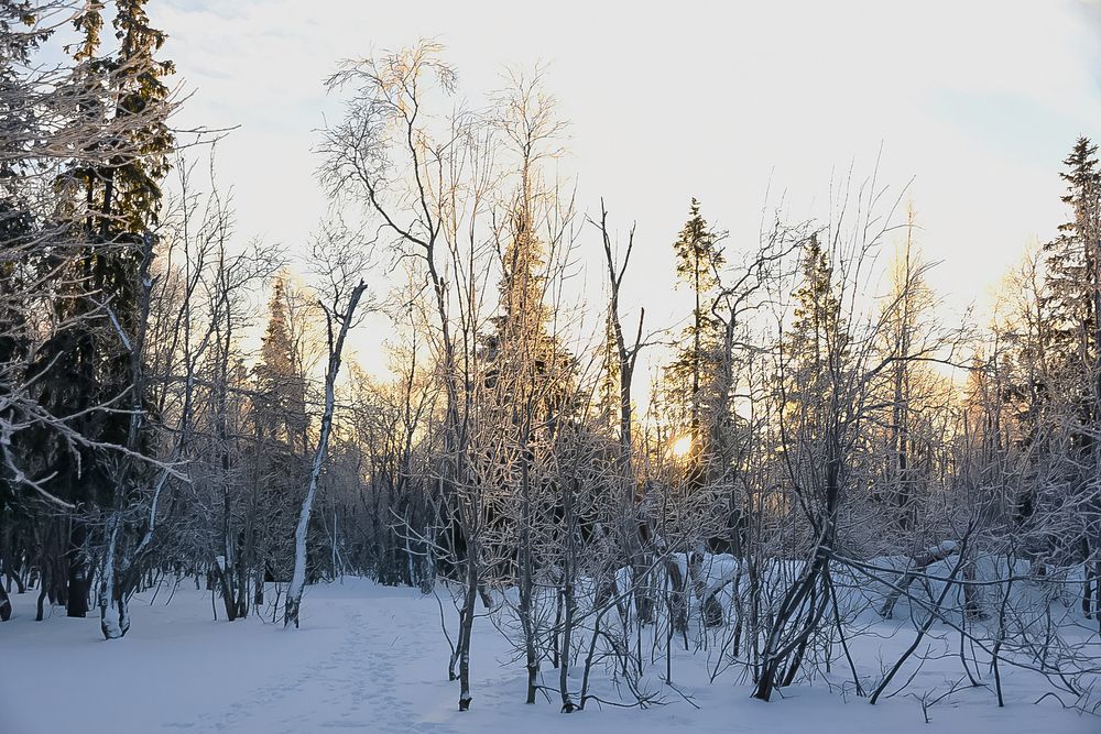 Photograph by Наталия Березина