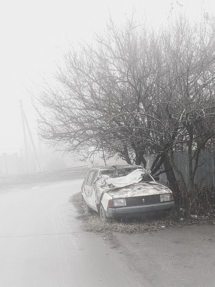 Photograph by Анастасия