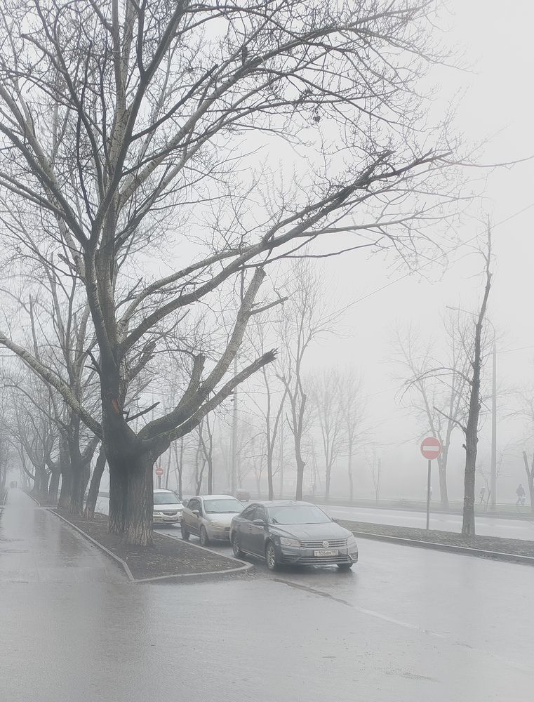 Photograph by Анастасия