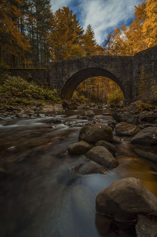 Photograph by Mirco Trivellato