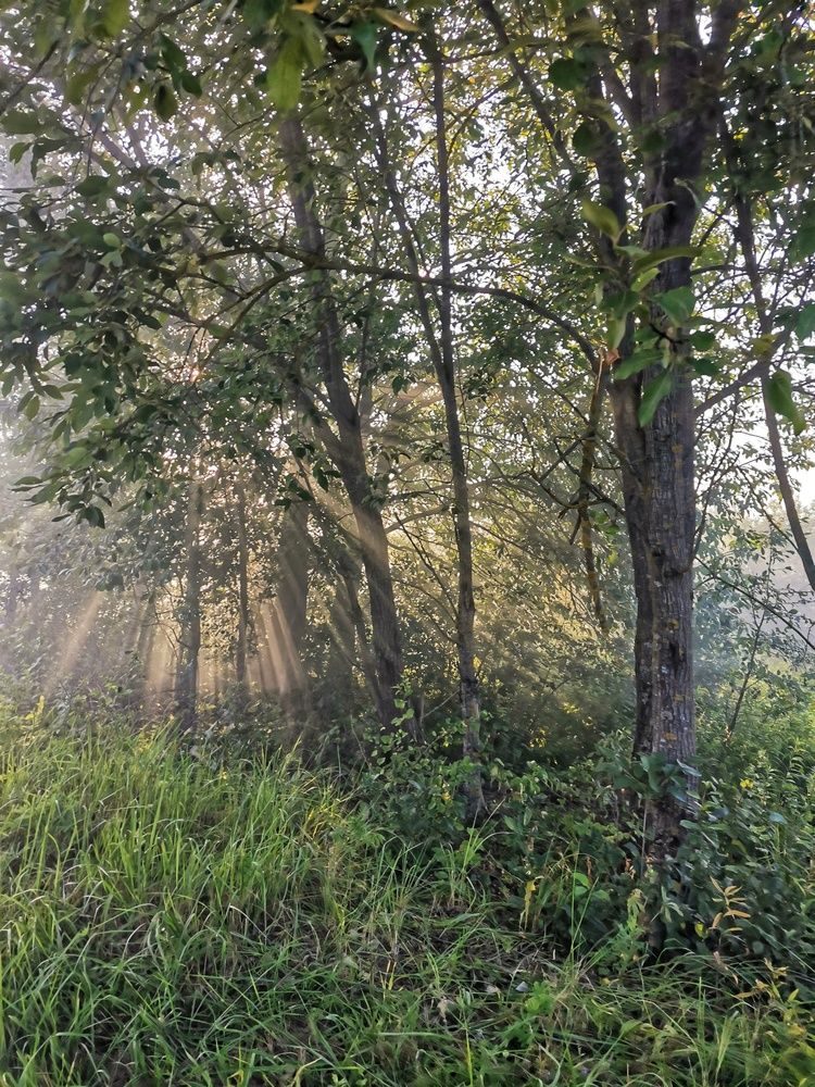 Photograph by Ольга Горбаткова