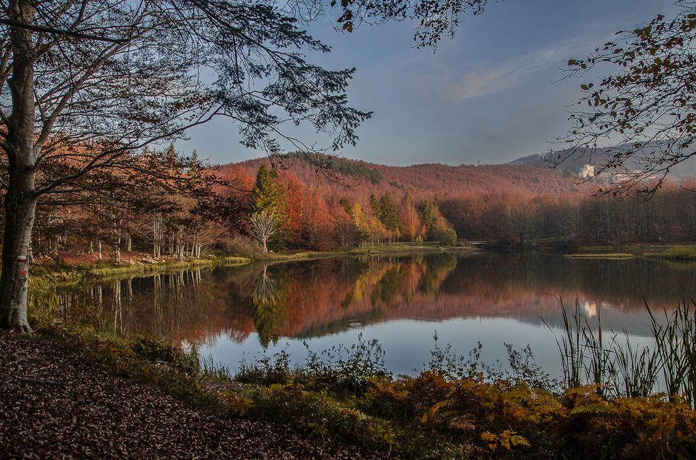 Photograph by Mirco Trivellato