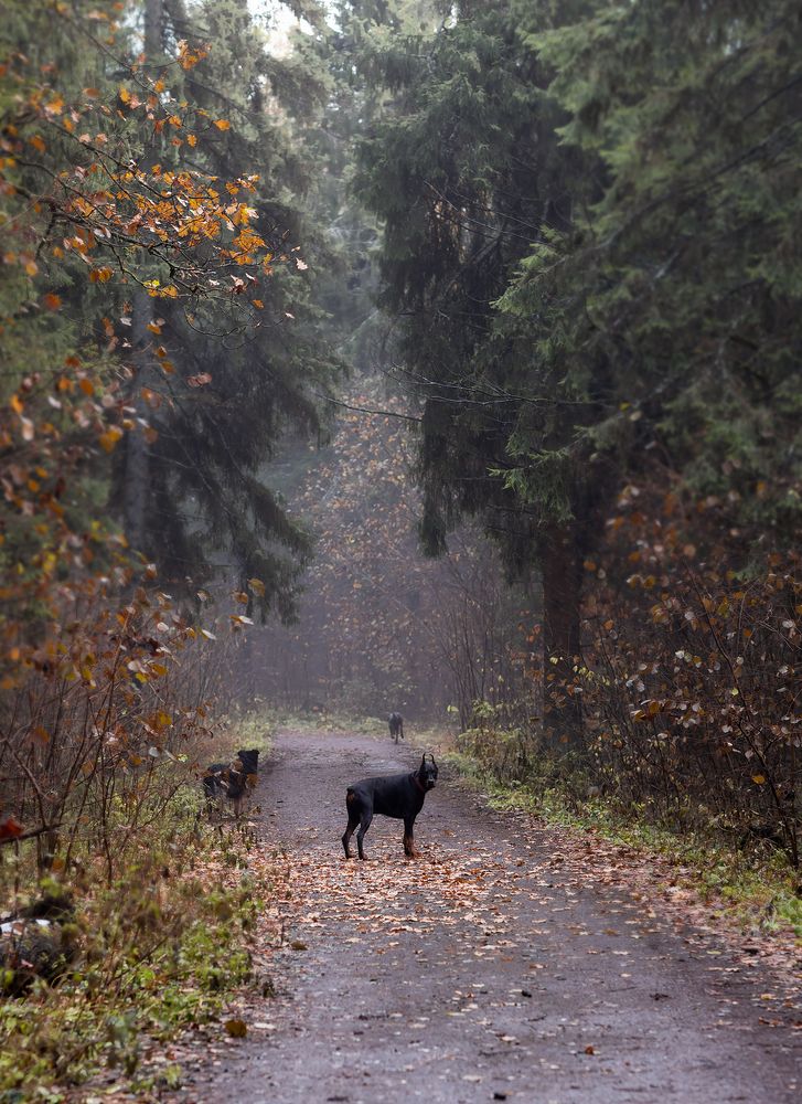 Photograph by Юлия Болдинова