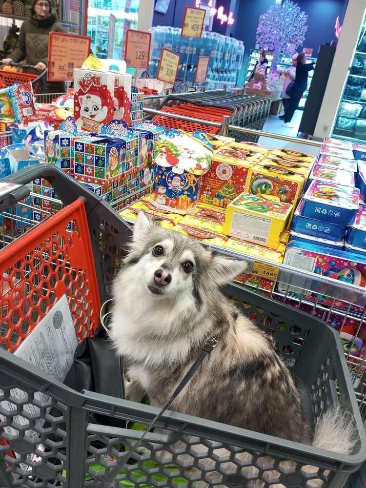 Photograph by Черепанов Виталий