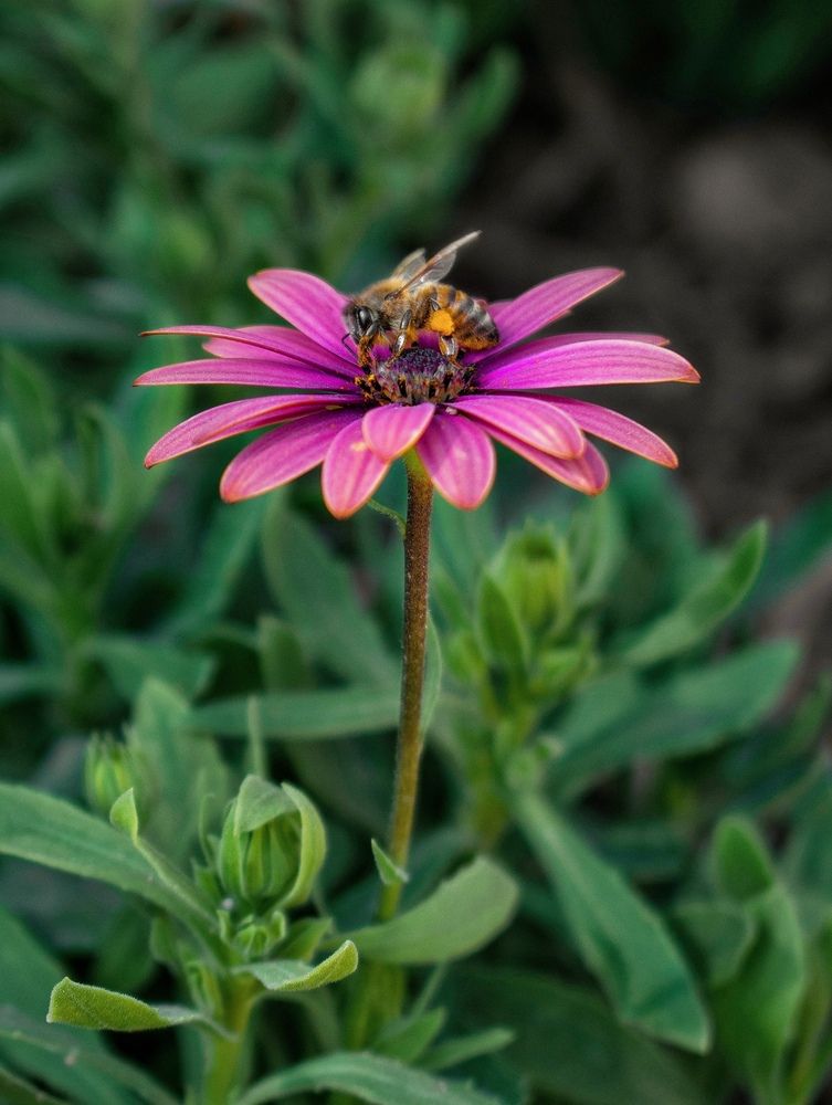 Photograph by zahra salardini