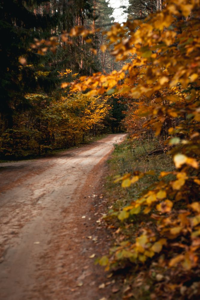 Photograph by Елена Владимировна