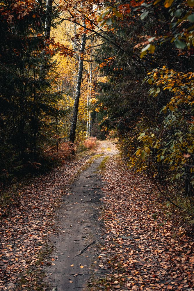 Photograph by Елена Владимировна