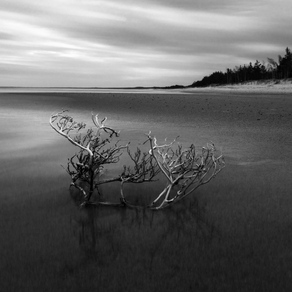 Photograph by Tomasz Dunajski