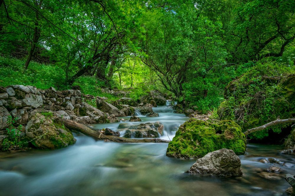 Photograph by Edris Khosravizadeh