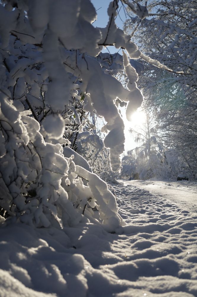 Фотография автора ВЯЧЕСЛАВ