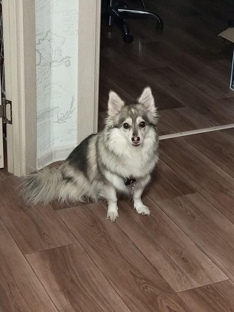 Photograph by Черепанов Виталий