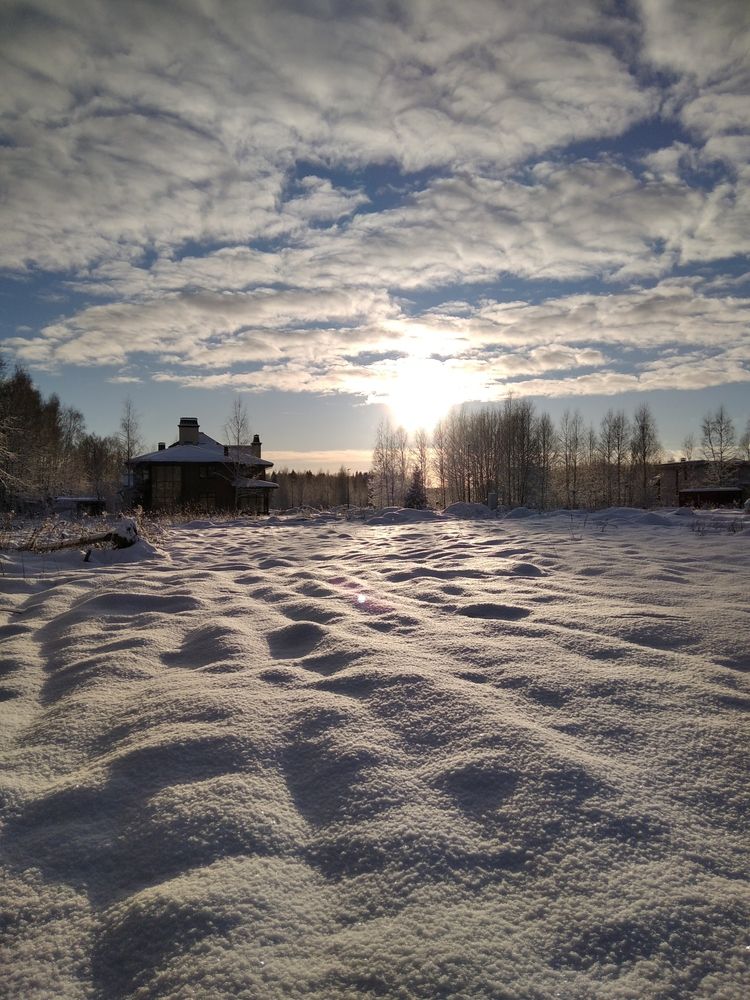 Photo #11838297
