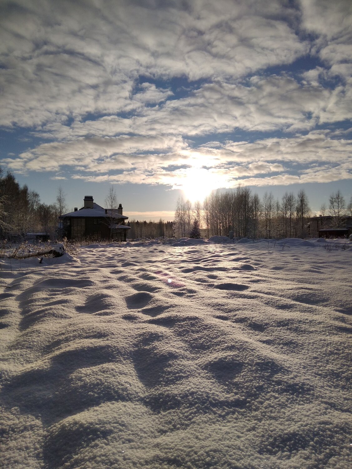 Photo #11838297