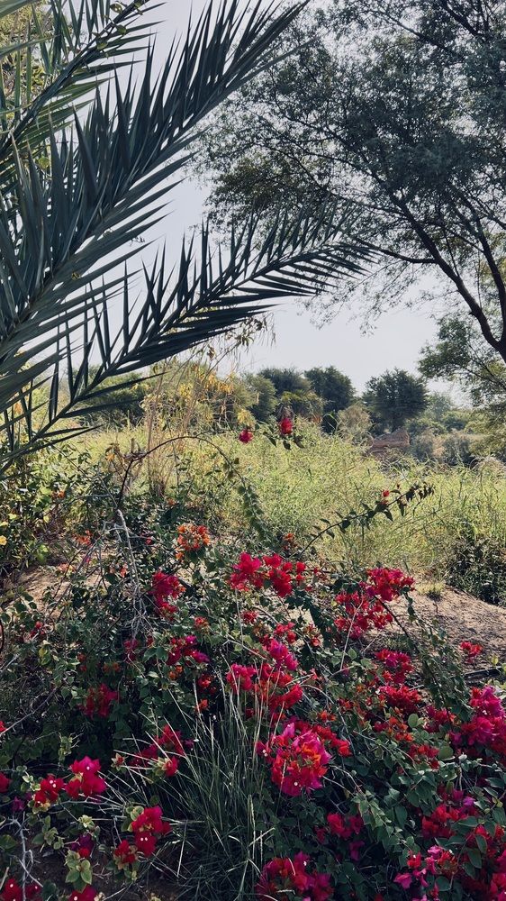 Фотография автора Sarrah Yehia