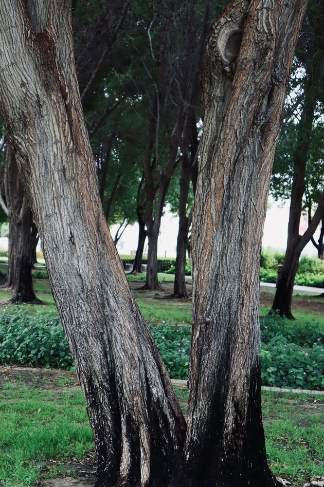 Фотография автора Sarrah Yehia