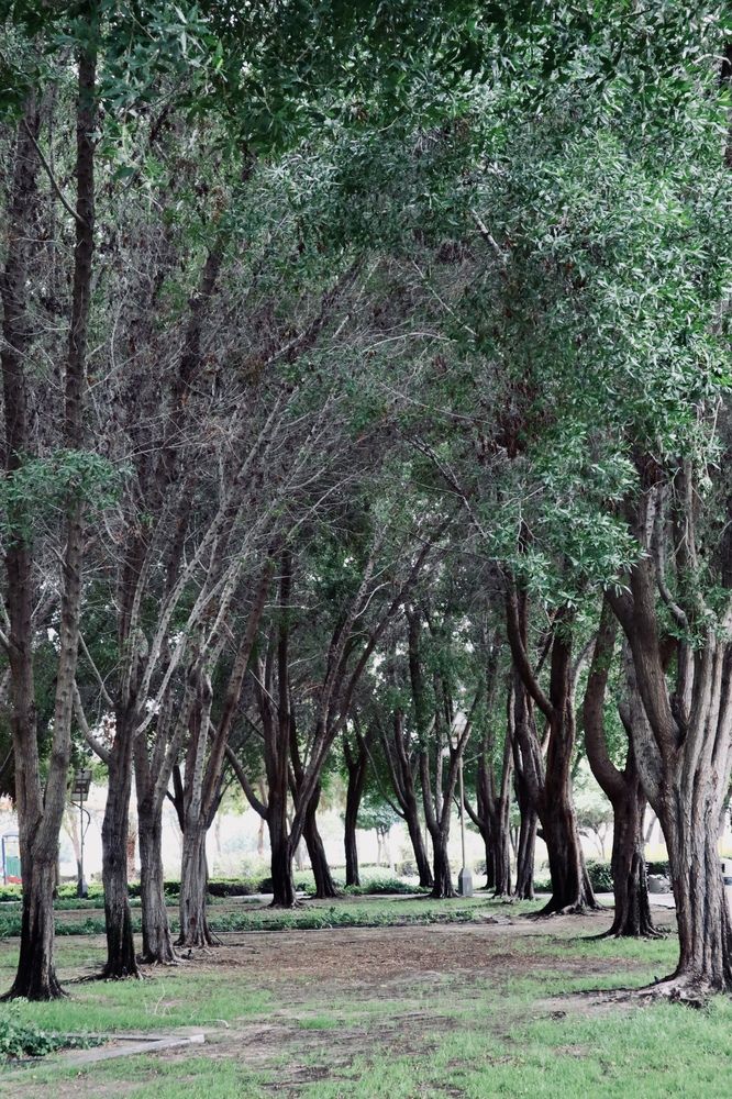 Фотография автора Sarrah Yehia