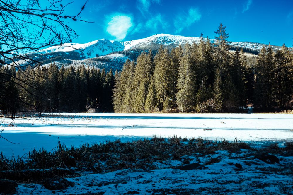 Photograph by Воронович Владислав