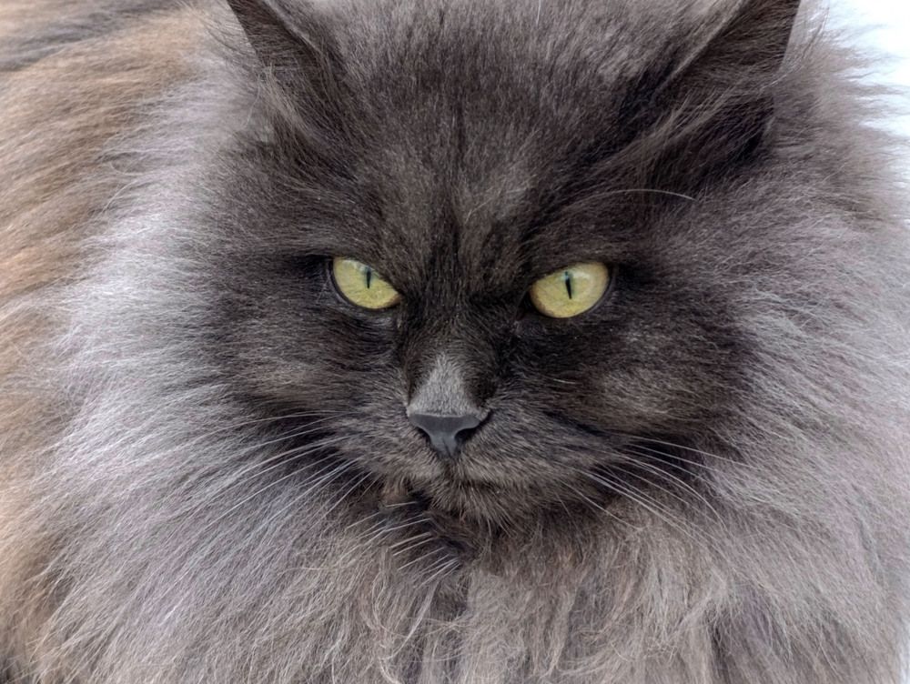 Photograph by Мария Самолевич