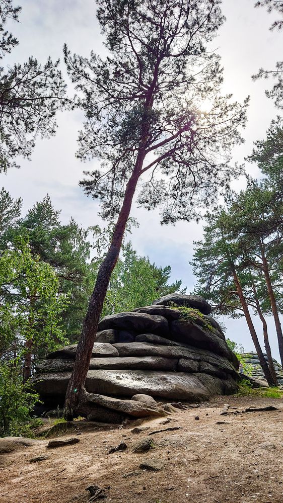 Фотография автора Elena Ku