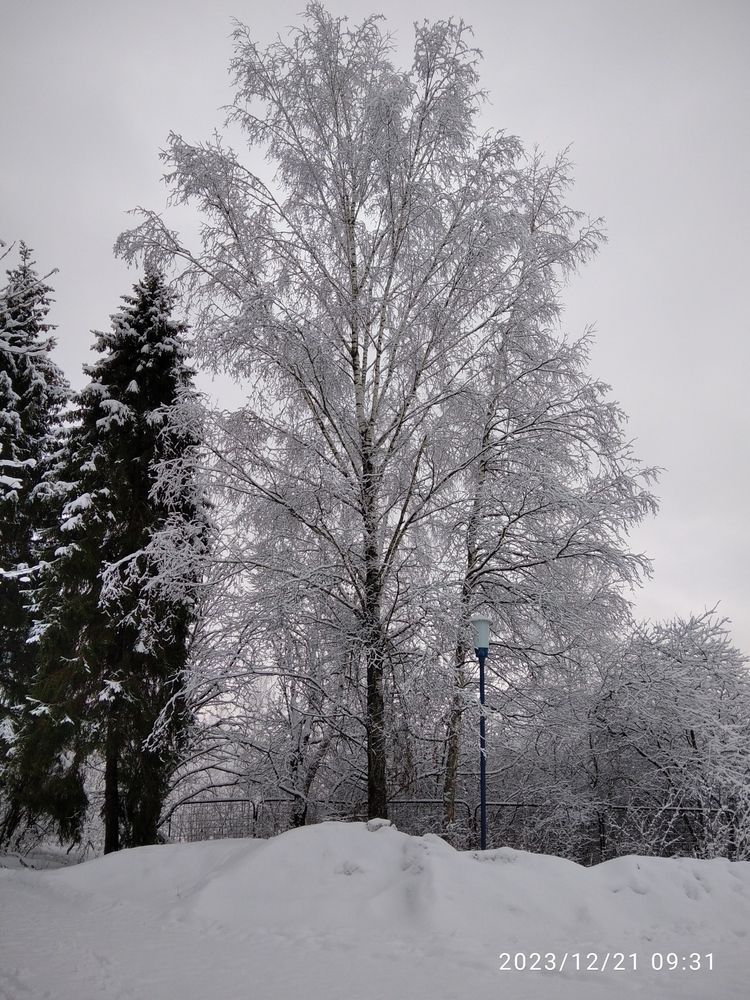 Photograph by Людмила Кухаревич