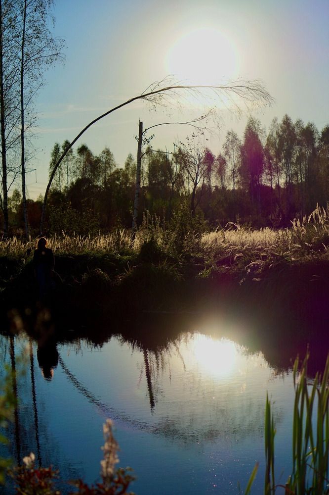 Фотография автора Надежда Можарова