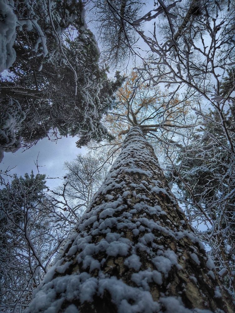 Photograph by Natalia Bolotenkova