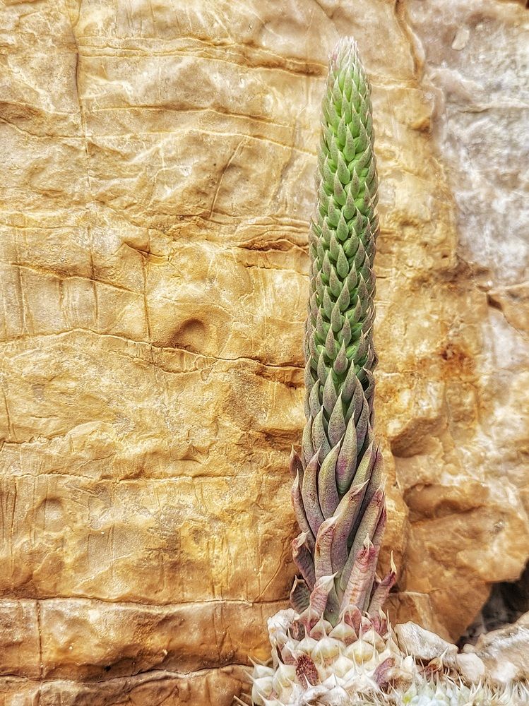 Photograph by Елена Иванова