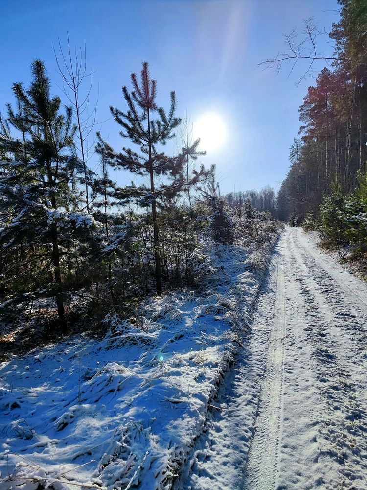 Photograph by Оксана Боднарчук