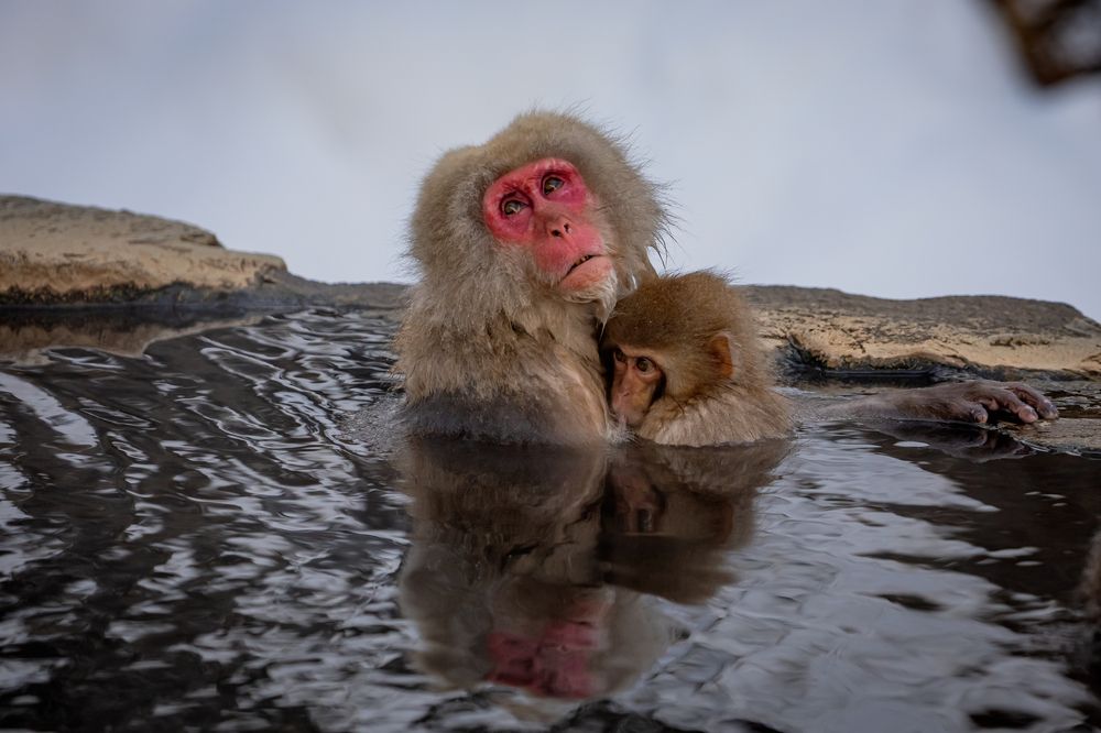 Photograph by Vita Potomova