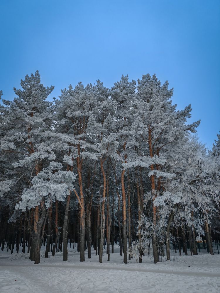 Photograph by Олега Тор