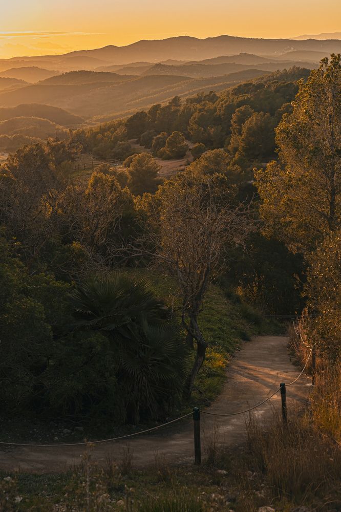 Фотография автора Dr_Plat