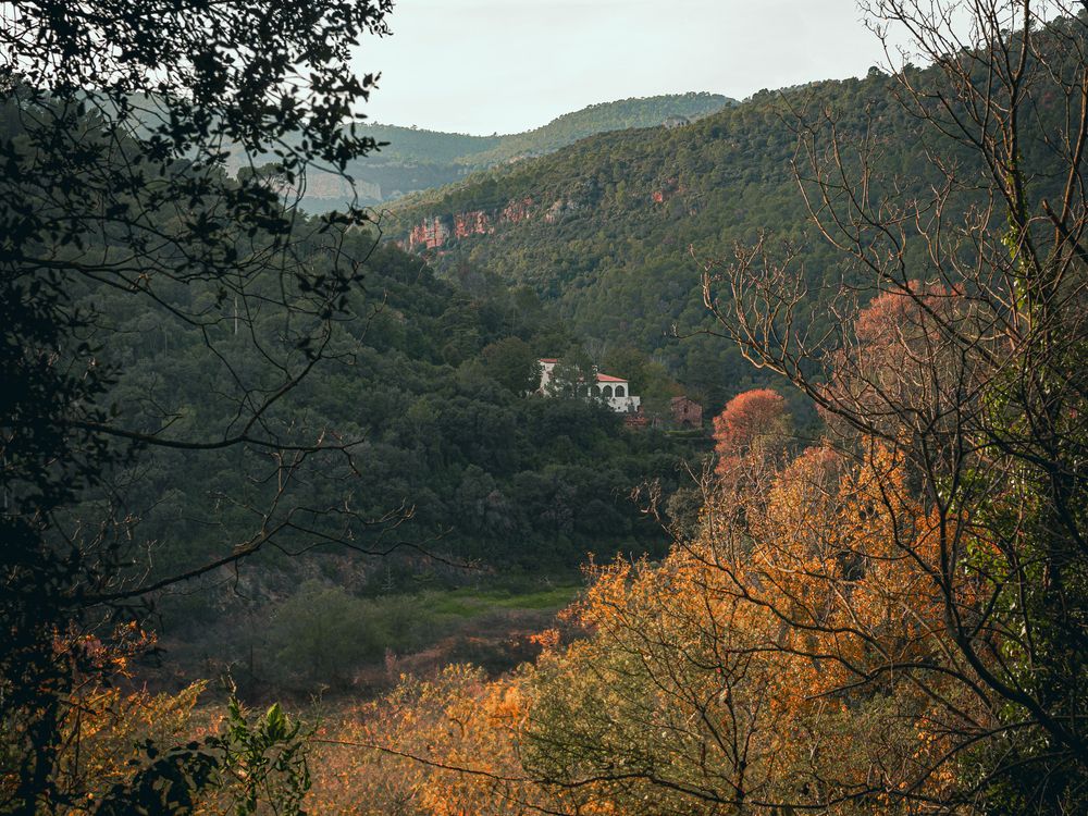 Фотография автора Dr_Plat