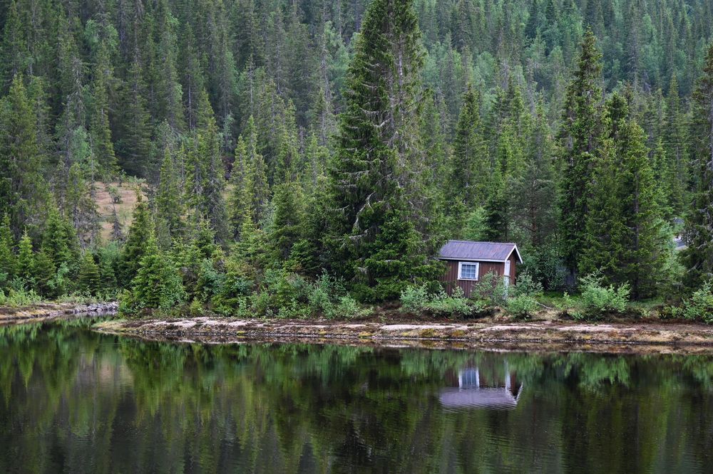 Photograph by Aušrinė Bui