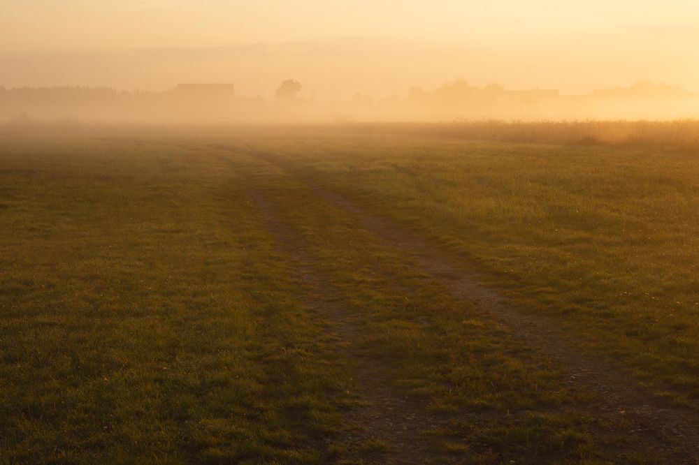 Photograph by  Максим