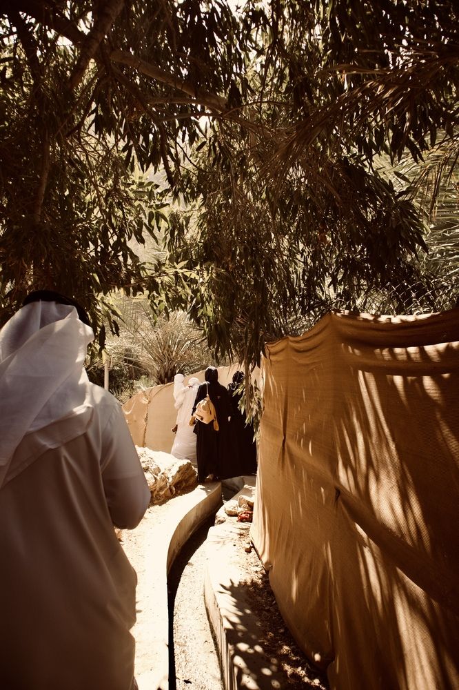 Фотография автора Sarrah Yehia