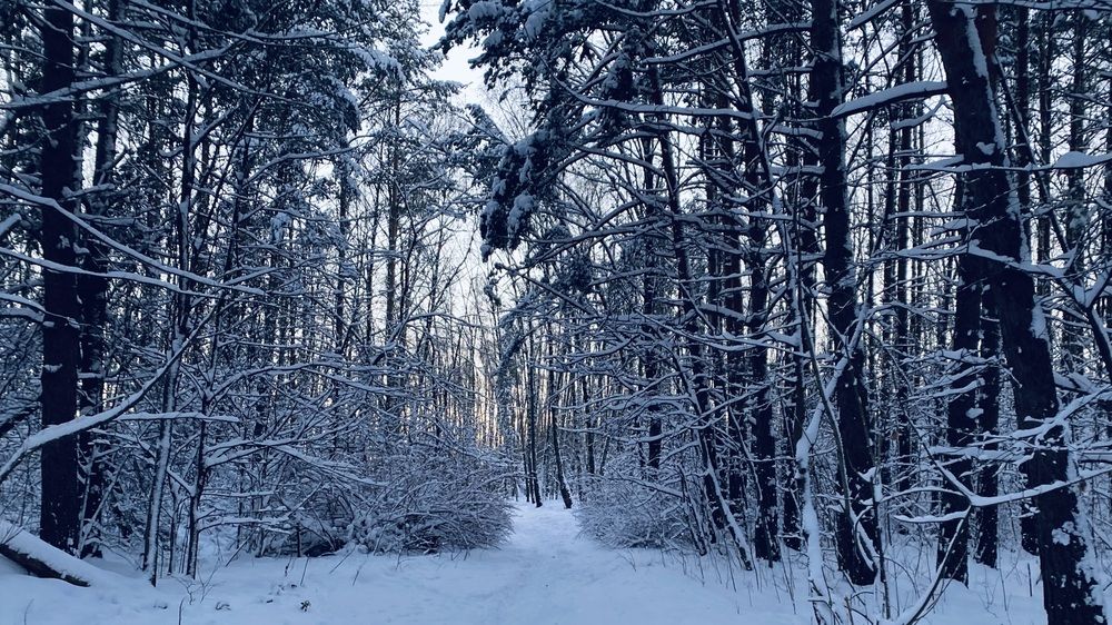 Фотография автора Юлия Карцева
