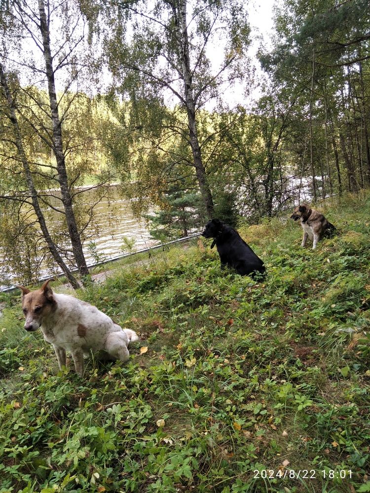 Photograph by Людмила Кухаревич