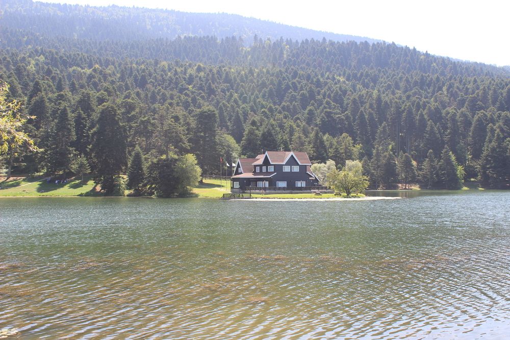 غابات گولجك تركيا